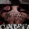 Mike Avalos - @mikeavalos503...2 - TikTok