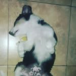 kevin - @mike.aviles_ - Instagram