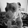 mikeavina - @mike.avina7 - TikTok
