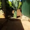 mikebaba28 - @mikebaba14 - TikTok