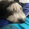 mikebadencampbell - @mikebadencampbell - TikTok