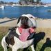 Mike Baeza - Facebook
