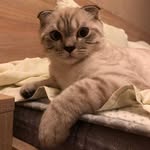 Майк Ростиславович - @mike.baranovskiy - Instagram