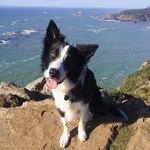 Mike Baran - @rureti4theyeti - Instagram
