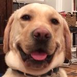 Michael Barcus - @mikebarcus - Instagram