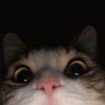 Mike Barcus - @mike.barcus - Instagram