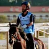 Mike Barile - @mikebarile1 - TikTok