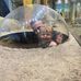 Michael Barish - Facebook