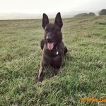 Mike Barnett - @mike.barnett_ - Instagram