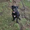 Mike Barnett - @mike.barnett30 - TikTok