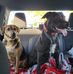 Mike Barnhart - Facebook
