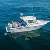 Mike Barone - @mikebarone221 - TikTok