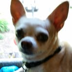 Mike Barrick - Facebook