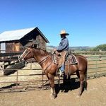 Mike Bartley - @mike_bartley_ - Instagram