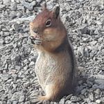 Mike Bartley - @mike.bartley.357 - Instagram
