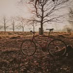 Mike Bascombe - @mikeybascombe - Instagram