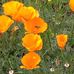 Mike Bashore - Facebook