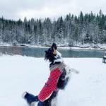 Mike Baskerville - @mike.baskerville - Instagram