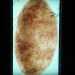 Mikey Batterson - @mr.potato351 - Instagram