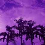 @mikebattle_ - Instagram