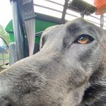 Mike Baumgardner - @mikebaumgardner - Instagram