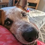 Mike Baumgardner - Facebook