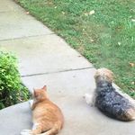 Mike Baumgardner - @the_real_lateknight - Instagram