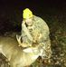 Mike Beason - Facebook