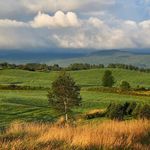 Mike Beaulieu - @coldhollowmedia - Instagram