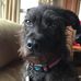 Mike Beaulieu - Facebook