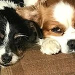 Mike Bedford - @bedford5136 - Instagram
