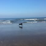 Mike Bedford - @mikebedford1 - Instagram