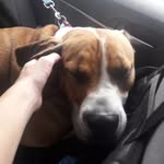 Mike Bednar - @mikebednar_ - Instagram