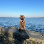 Mike Berardo - @berardo_mike - Instagram