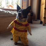Mike Bergstrom - @medicmike911 - Instagram