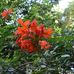 Mike Bernard - Facebook