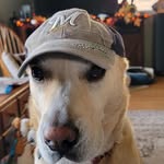 Michael Berndt Sr. - @mikeberndtsr - Instagram