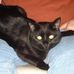 Mike Benninger - Facebook