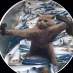 Mike Berta - @berta.mike - Instagram