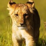 mike - @mike_bertand - Instagram