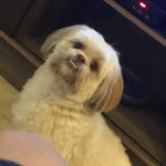 @mike.bertini_ - Instagram