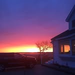 Mike Bertino - @mike.bertino.12 - Instagram
