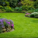 Mike Beynon - @mike_mbgardening - Instagram