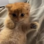 Mike - @mike_bills_82738 - Instagram