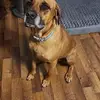 mikebills51 - @mike.bills13 - TikTok
