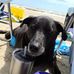 Michael Biro - Facebook