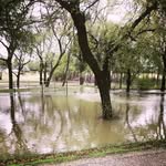 Mike Blain - @blain836 - Instagram