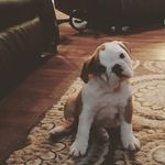 Mike Blevins - @blevins_mike - Instagram
