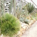 Mike Blum - @mikeblum5 - Instagram