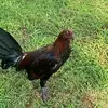 Mike Blythe - @mike.blythe0 - TikTok